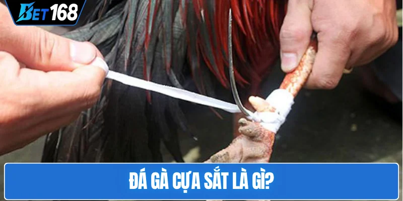 da-ga-cua-sat-la-gi
