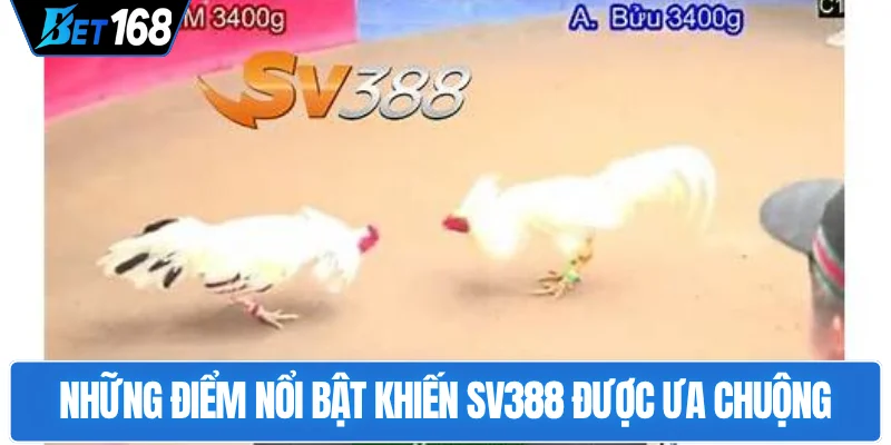 nhung-diem-noi-bat-khien-sv388-duoc-ua-chuong